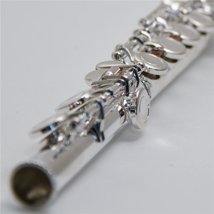 SML Paris - VSM FL300E