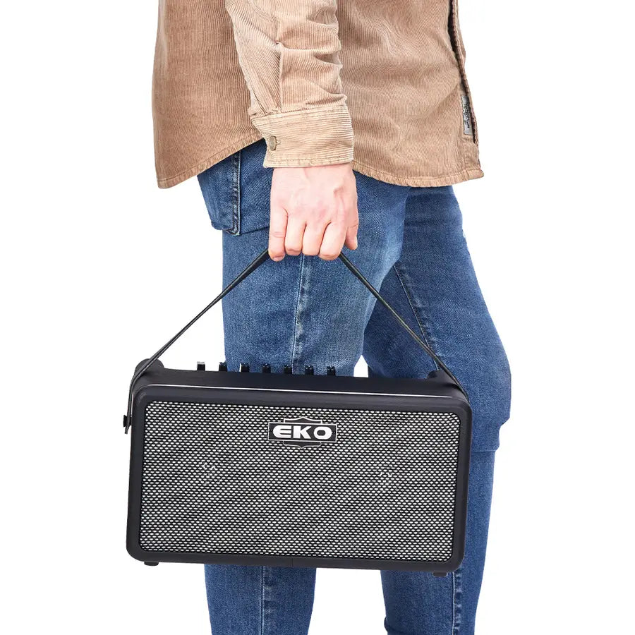 Eko Guitars BAIO AMP 25