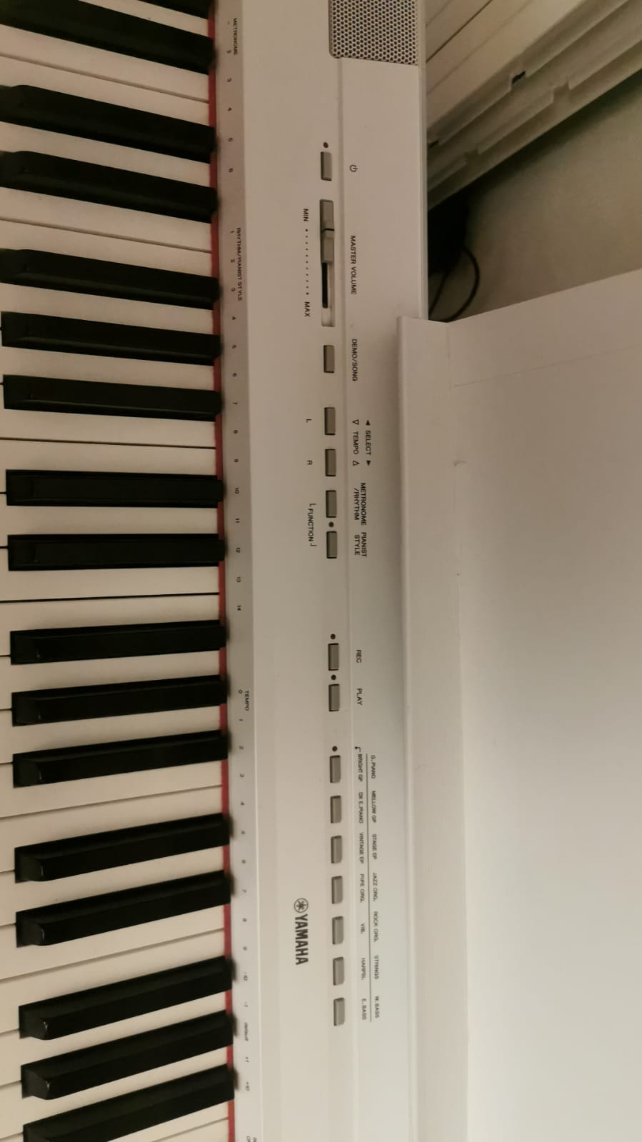 Yamaha P-115 con supporto e panca