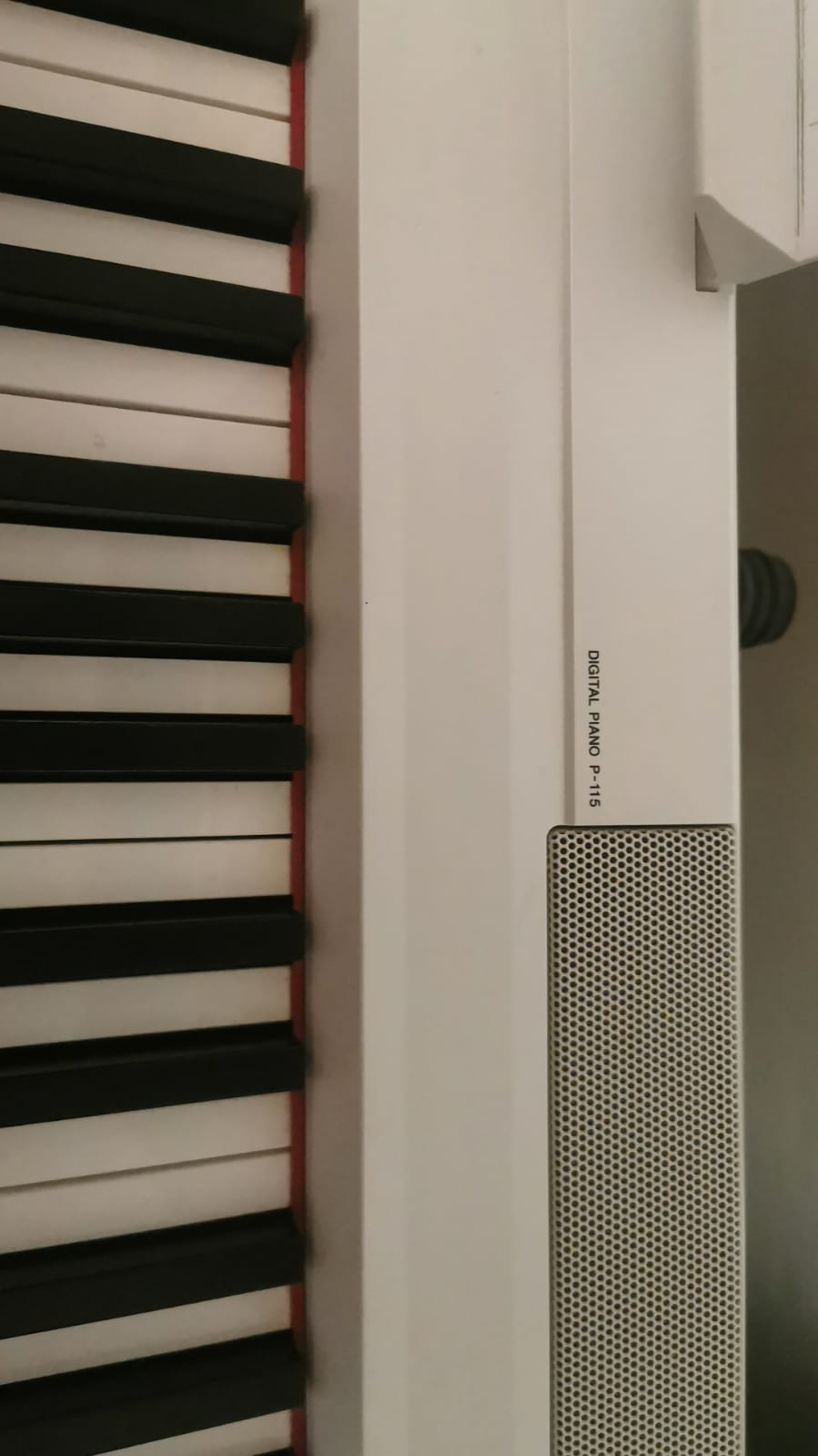 Yamaha P-115 con supporto e panca